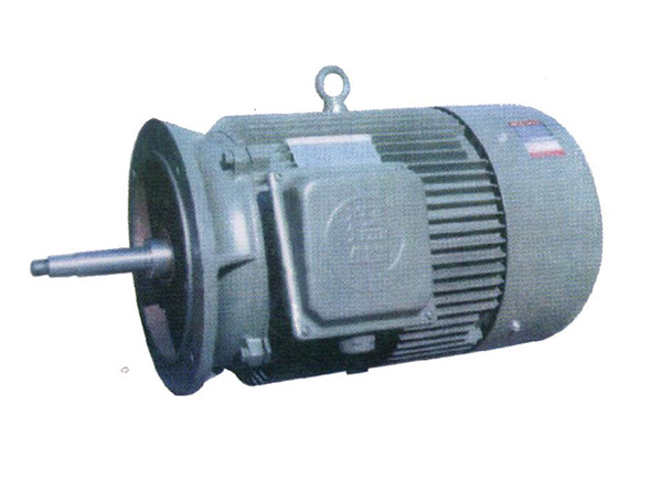 Special motor for water pump